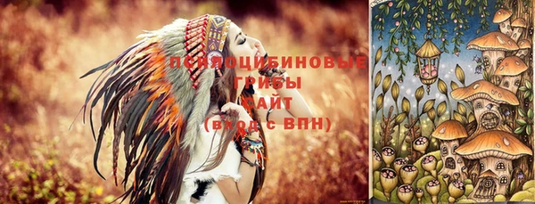 амфетамин Лабытнанги