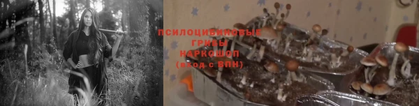 твердый Лагань
