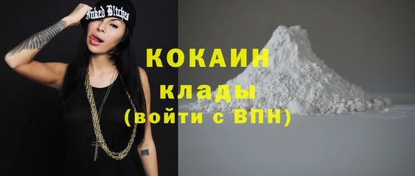 твердый Лагань