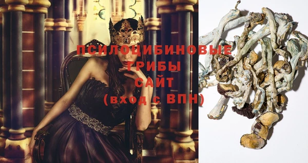 гашик Лиски