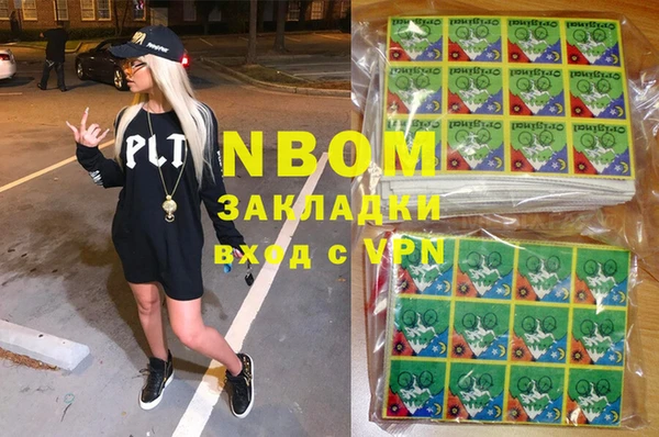твердый Лагань