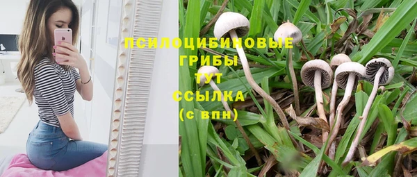 твердый Лагань