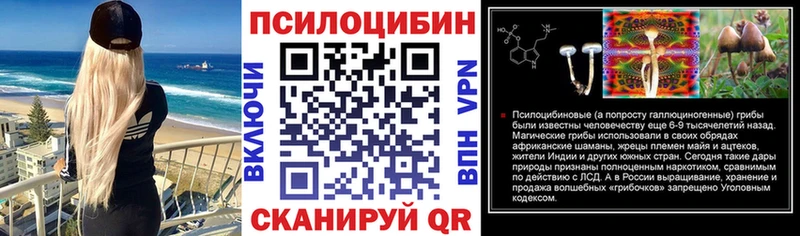 как найти наркотики  Подольск  Галлюциногенные грибы Psilocybine cubensis 