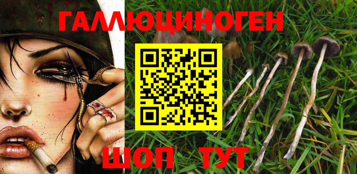 Галлюциногенные грибы MAGIC MUSHROOMS Подольск